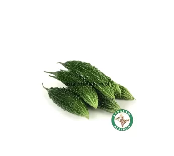 SWIEŻE GORZKI MELON