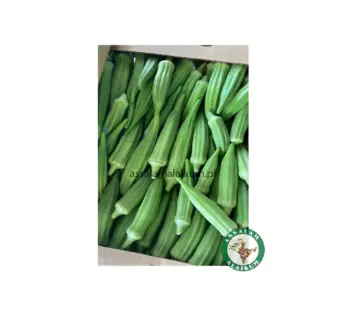SWIEŻA OKRA