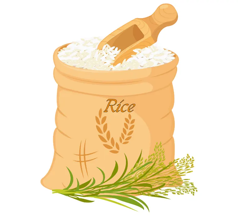 RYŻ